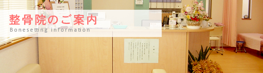 �����@�̂��ē�