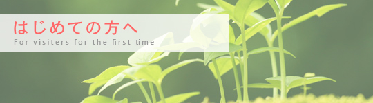 �͂��߂Ă̕���